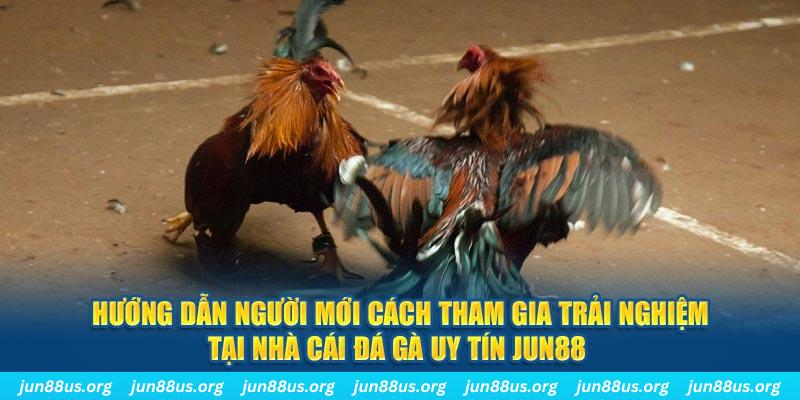 mcw87 loi game dot kich ket noi may chu that bai