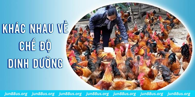 mcw87 xổ số miền nam thứ năm hàng tuần