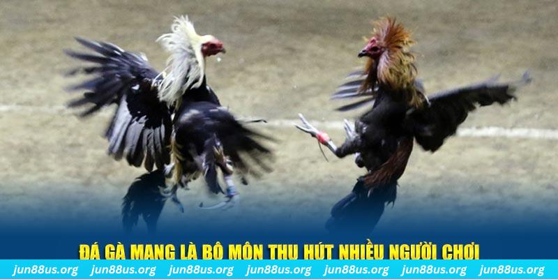 mcw87 đăng nhập lô đề hàng đầu