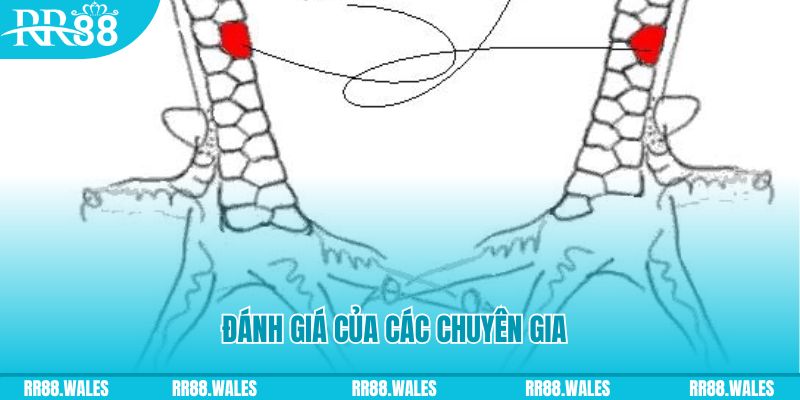 mcw87 V8 Game Bài 3d