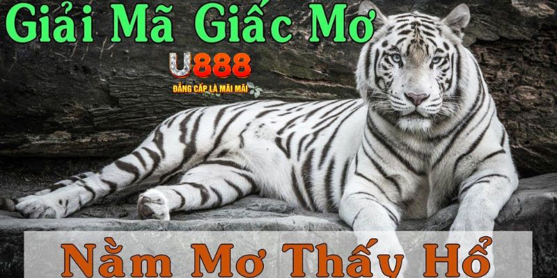 mcw87 qq88 nổ hũ bắn cá