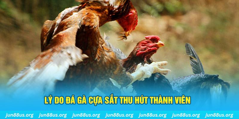 mcw87 chiếm slot là gì