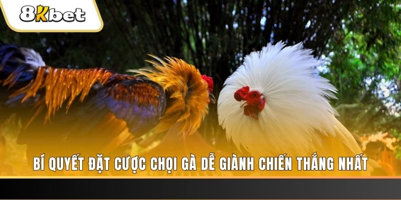 mcw87 xổ số thứ hai hàng tuần