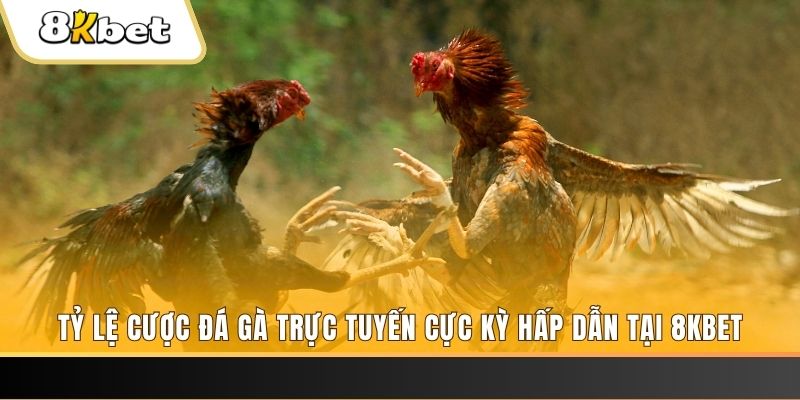 mcw87 baccarat online bịp như thế nào