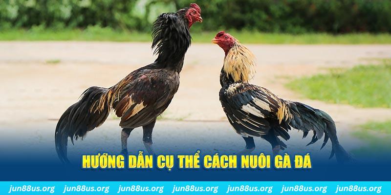 mcw87 đăng nhập sòng bạc số 1