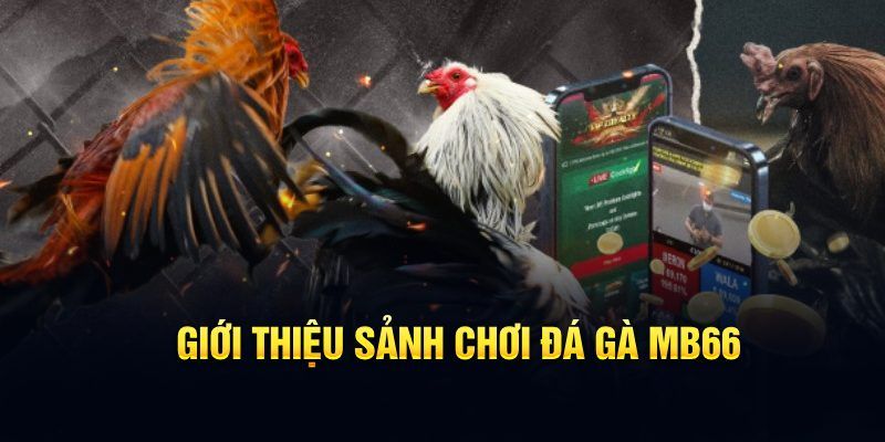 mcw87 đăng nhập poker hôm nay