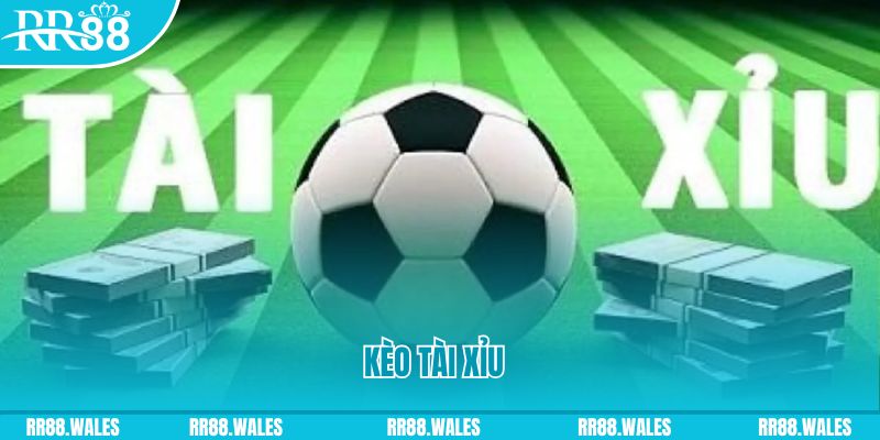 mcw87 Giành Chủ Bull Bull